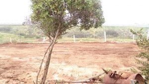 Community Garden exterior