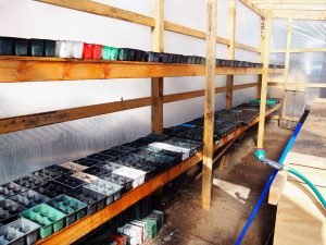 Community Garden growing shelves